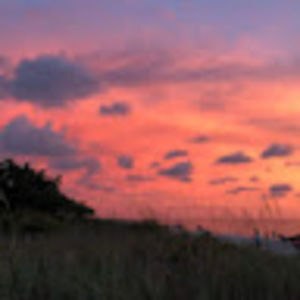 Meet your Posher, Sarai